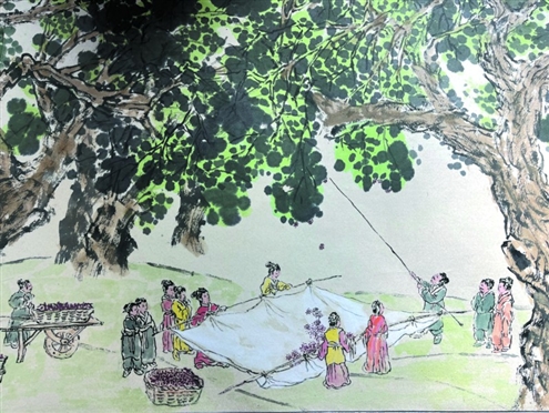 古桑博物馆用绘画还原了古人收获桑椹的场景